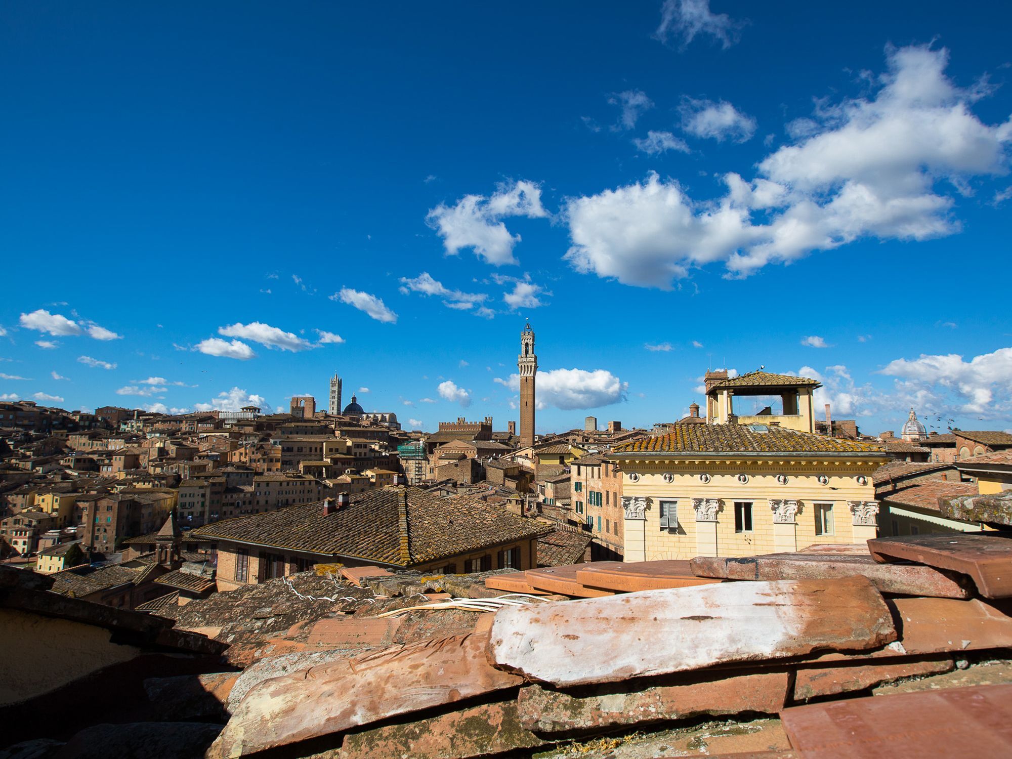 Appartamento Panoramico San Martino 12 シエーナ エクステリア 写真